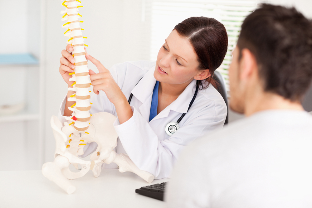 chiropractor showing spinal column to patient